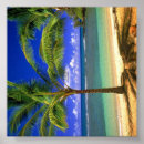 Recherche de lumineux posters Tropical