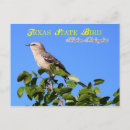 Recherche de mer nord cartes postales Arbre