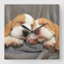 Recherche de chiot horloges Animal familier