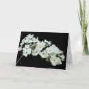 Recherche de flore toutes vœux cartes Pour tous