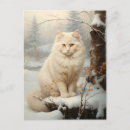 Recherche de chat neige cartes postales Chaton