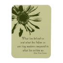 Recherche de gerberas magnets Pour elle