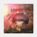 Recherche de champignons rouges magnets Forêt