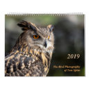 Recherche de deux oiseaux photographie Faune