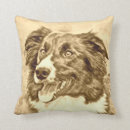 Recherche de de border collie coussins Frontière