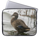 Recherche de étang de canard électronique Oiseau