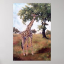 Recherche de peinture de girafe posters Faune