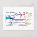 Recherche de processus cartes postales Pour tous