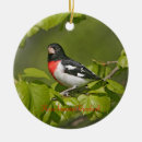 Recherche de chant de noël maison deco Professeur