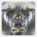 Recherche de antenne autocollants Abeille