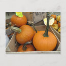 Recherche de moisson cartes postales Citrouille