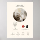 Recherche de scorpio constellation posters Astrologie