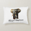 Recherche de éléphant africain coussins Afrique