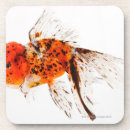 Recherche de poisson rouge dessous de verres Natation