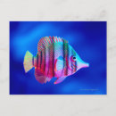 Recherche de poissons tropicaux cartes postales Animal