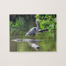 Recherche de marécage puzzles Alligator