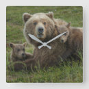 Recherche de brun horloges Animaux sauvages