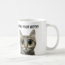 Recherche de gros chat tasses Chats