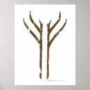 Recherche de seigneur des anneaux posters J r r tolkien