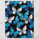 Recherche de insectes prospectus Papillon