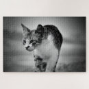 Recherche de chat noir blanc puzzles Maison