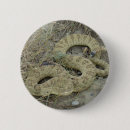 Recherche de serpents badges Reptiles