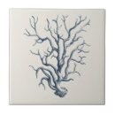 Recherche de corral carreaux Côte