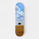 Recherche de arbres skateboards Simple