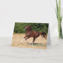 Recherche de étalon arabe vœux cartes Animal