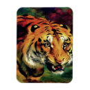 Recherche de portrait magnets Chat