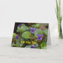 Recherche de coléoptère vœux cartes Coccinelle