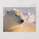 Recherche de manitoba cartes postales Tourisme
