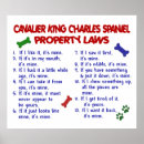 Recherche de cavalier king charles spaniel posters Mignon
