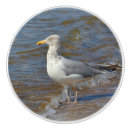 Recherche de bord mer de boutons et poignées de porte Océan