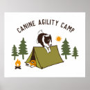 Recherche de collie posters Canine