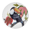 Recherche de toucan planches à découper Tropical