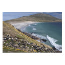 Recherche de hopkins Bord de mer