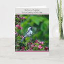 Recherche de humour jardin anniversaire cartes Poule