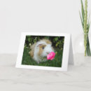 Recherche de gerbilles vœux cartes Drôle