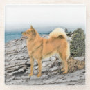Recherche de spitz dessous de verres Dog