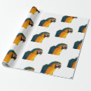 Recherche de perroquet papier cadeau Macaw