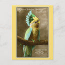 Recherche de perroquet vintage vœux cartes Cockatoo
