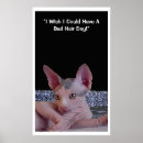 Recherche de mauvais chat posters Humour