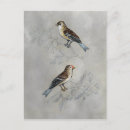 Recherche de argent cartes postales Animaux