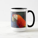 Recherche de ara tasses Forêt tropicale