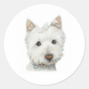 Recherche de chien westie autocollants Dog