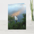 Recherche de en abondance vœux cartes Amour