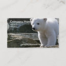 Recherche de faune arctique cartes visite Ours