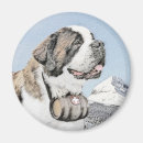 Recherche de st bernard magnets Bernhardiner