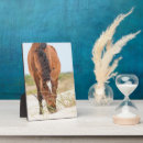 Recherche de portrait cheval plaques Ranch